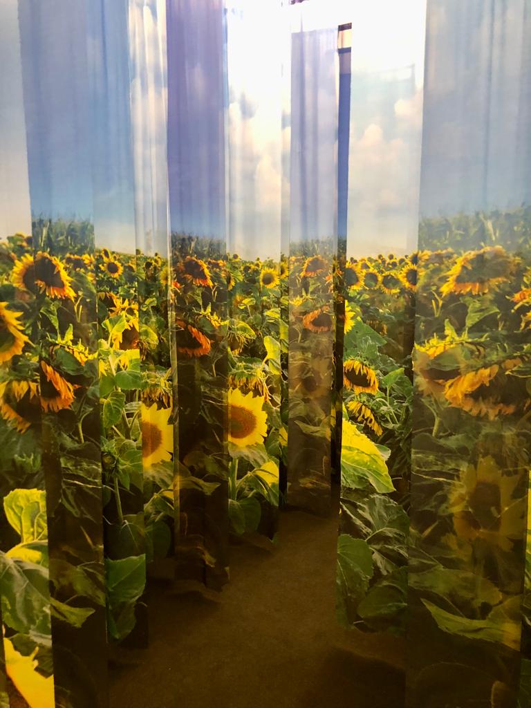 Beyond Van Gogh Brasil 2022 01j Doces Hist rias